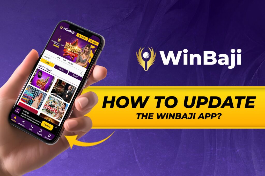 How to update the WinBaji Application