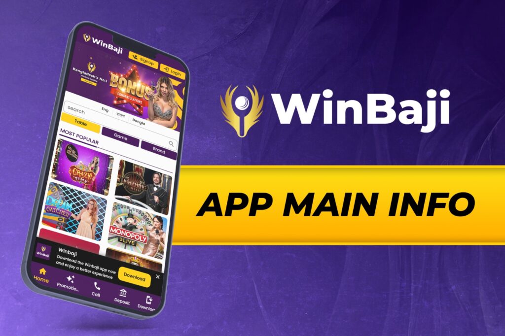 WinBaji App Main Info