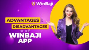 The advantages and disadvantages of the Winbaji App