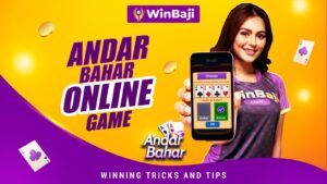 Andar Bahar Online Game Winning Tricks and Tips