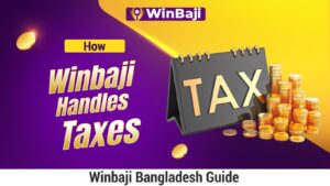 How Winbaji Handles Taxes