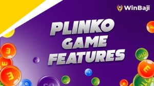 Plinko Game Features